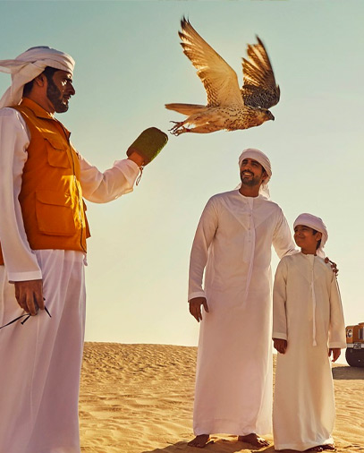 Falconry