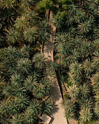 المواقع التراثية والثقافية 