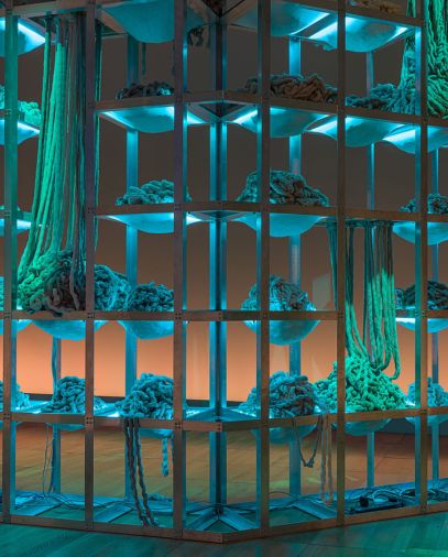 رواق الفن في جامعة نيويورك أبوظبي 