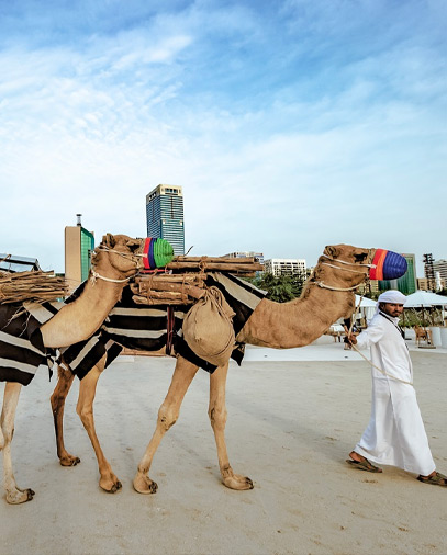 الكري ، المكاري" الجرّي ، الِمْجَاري"