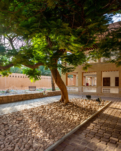 العلاج بالتشمس