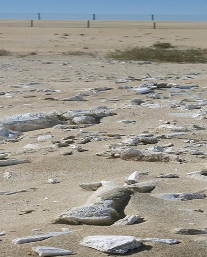 الحكاية الشعبية