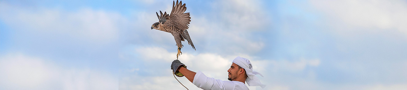 UNESCO ICH Inscribed Elements