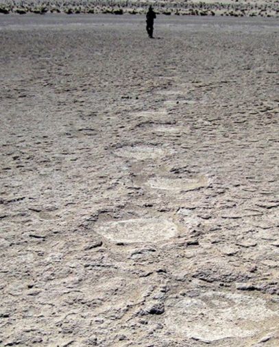 مواقع الحفريات