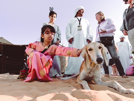 Saluki Dogs  Abu  Dhabi  Culture